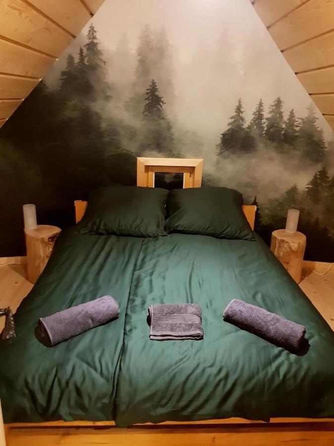 Jabloniowa Chalet *